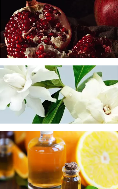 untitled-design-5